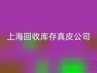 环保与创新：回收库存真皮和羊皮的重要性_上海腾布贸易wqjyw.com