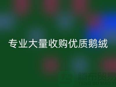 专业羽绒回收：大量收购优质鹅绒与鸭绒@上海腾布贸易公司
