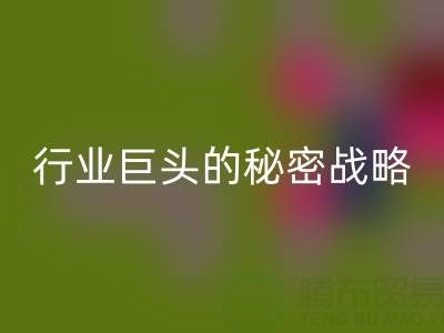 上海库存布料回收市场:揭秘行业巨头的秘密战略