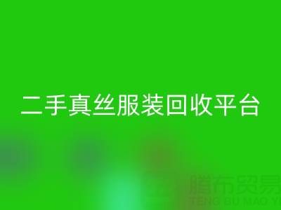 循环时尚新趋势：二手真丝服装回收平台如何重塑绿色衣橱