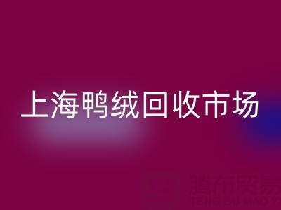 上海鸭绒回收市场解析：羽绒被回收价格的决定因素与产业价值
