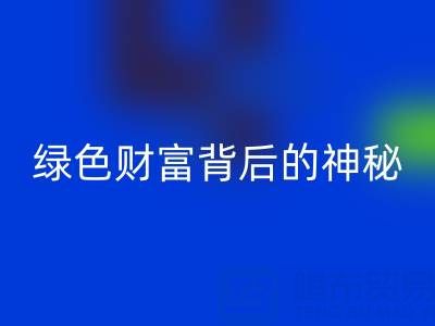 探秘上海库存真丝回收厂家：绿色财富背后的神秘世界