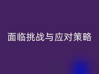 库存染料回收公司面临的挑战与应对策略